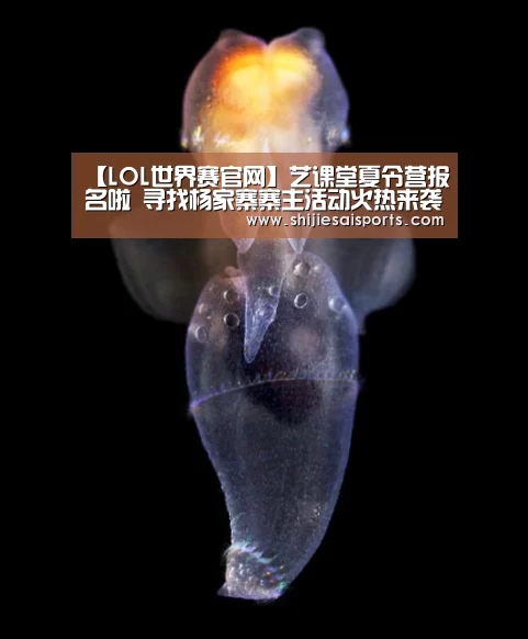 LOL世界赛官网